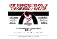 East-Tennessee-School-of-Taekwondo